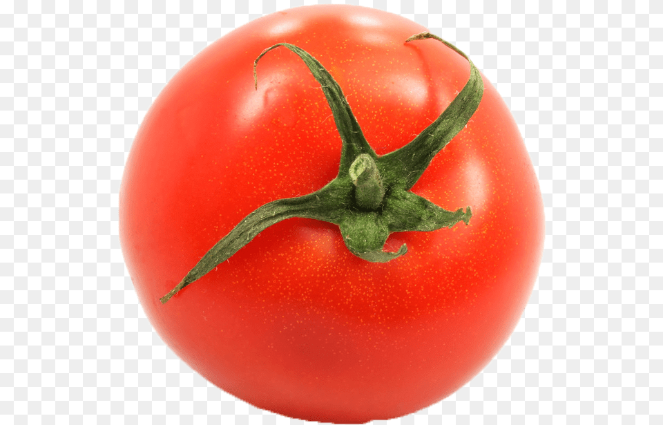 Plum Tomato, Food, Plant, Produce, Vegetable Png