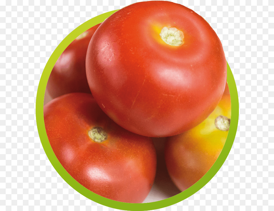 Plum Tomato, Food, Plant, Produce, Vegetable Free Transparent Png