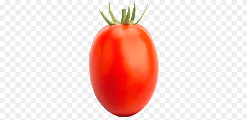 Plum Tomato, Food, Plant, Produce, Vegetable Png Image