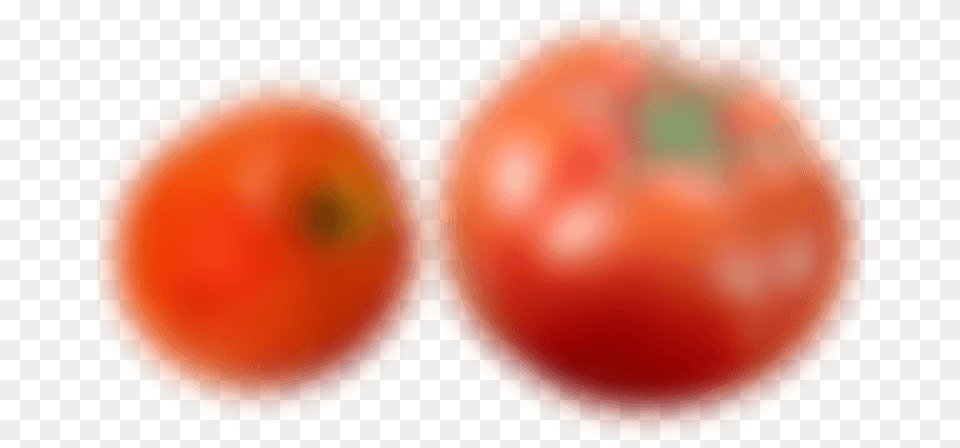 Plum Tomato, Food, Plant, Produce, Vegetable Free Png