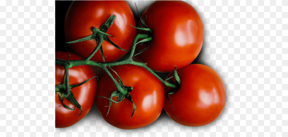 Plum Tomato, Food, Plant, Produce, Vegetable Png Image