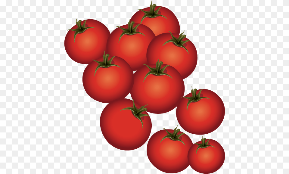 Plum Tomato Bush Tomato Tomato, Food, Plant, Produce, Vegetable Free Png Download