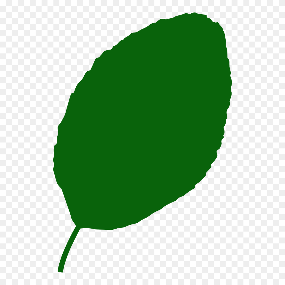 Plum Tree Leaf Silhouette, Plant, Green Free Png