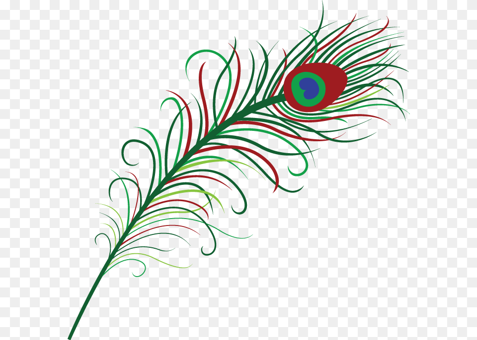 Pluma Pxeles Peacock Feather Clipart, Art, Floral Design, Graphics, Pattern Png Image