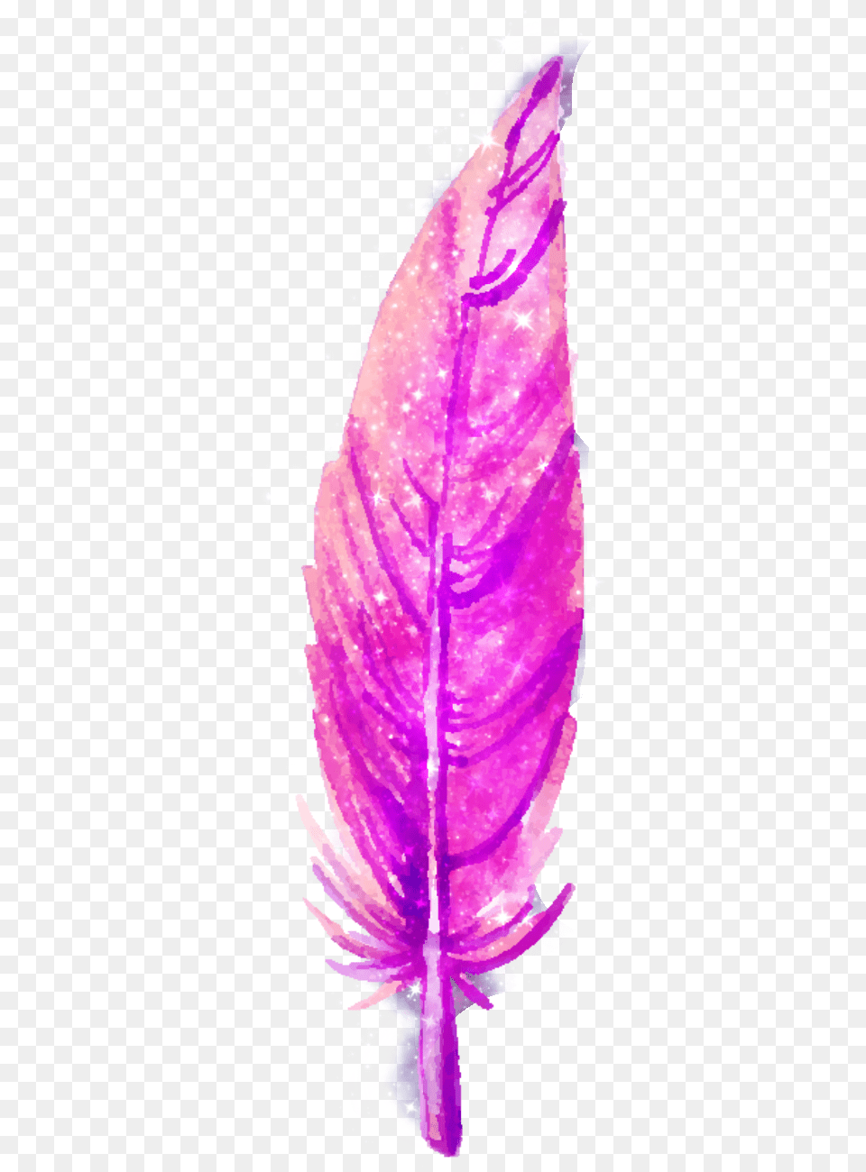 Pluma Tumblr Galaxy Tumblr Illustration, Purple, Flower, Leaf, Plant Png
