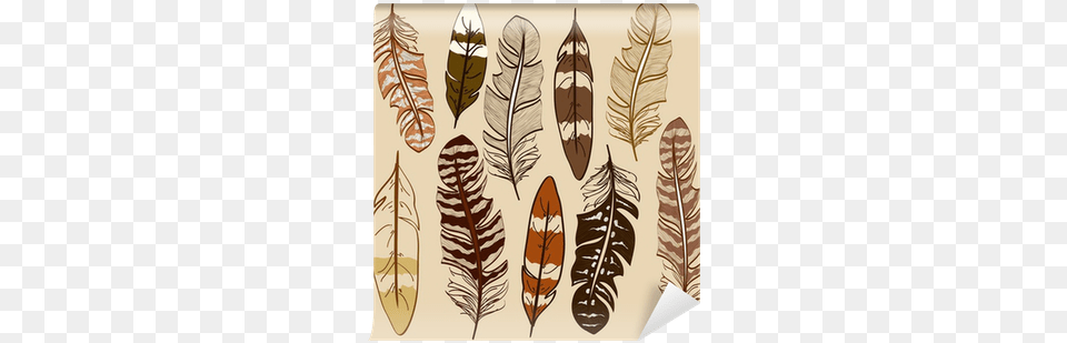 Plumas De Indios Americanos, Leaf, Plant, Tobacco, Art Free Png