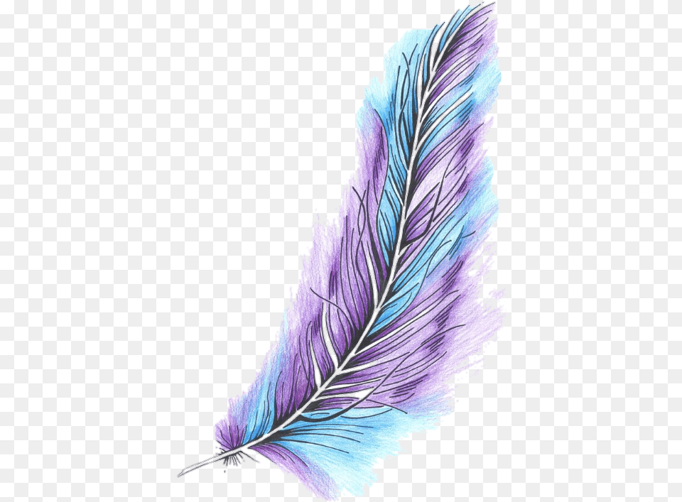 Plumas Tumblr 5 Image Color Drawing Of Feather, Art, Graphics, Purple, Adult Free Png Download