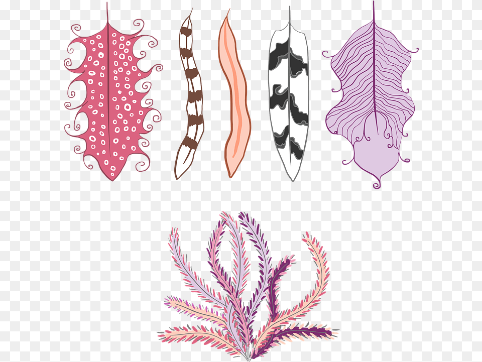 Plumelet Pen Ethnic Plumas Hippie, Pattern, Embroidery, Leaf, Plant Free Png Download