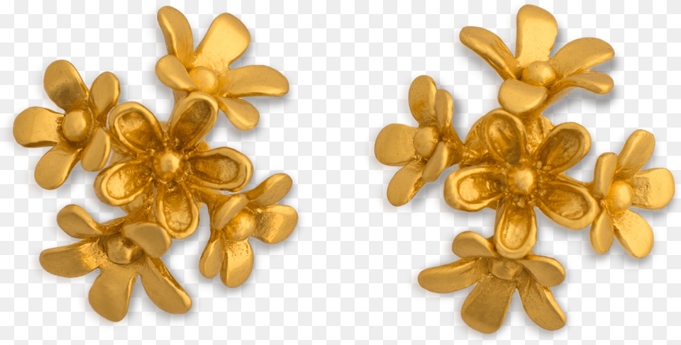 Plumeria, Accessories, Earring, Gold, Jewelry Free Png