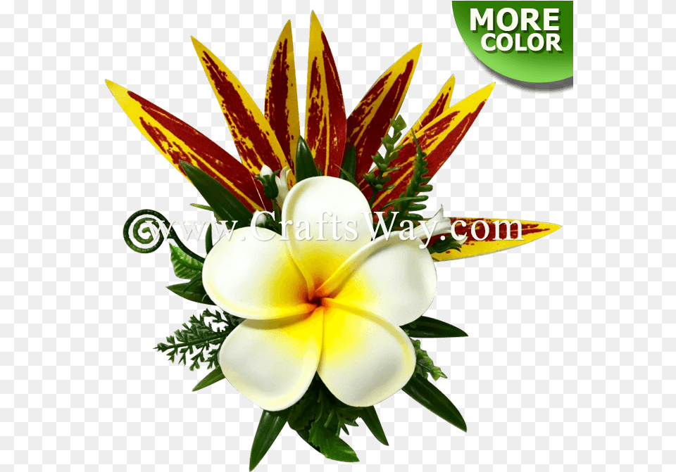 Plumeria Bi U0026 Silk Leaves Hair Clip Artificial Flower, Plant, Petal, Flower Arrangement, Flower Bouquet Free Png Download