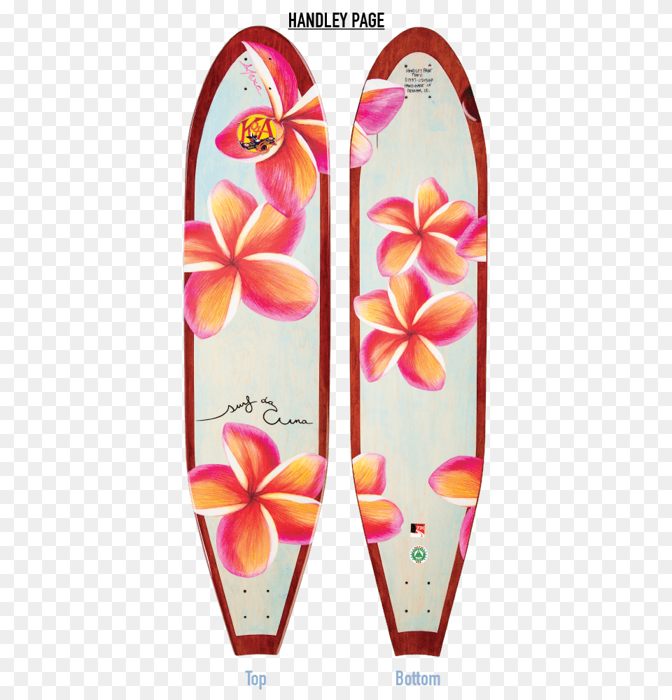 Plumeria Buy Longboards For Sale Kota Longboards, Leisure Activities, Surfing, Sport, Sea Waves Free Png Download