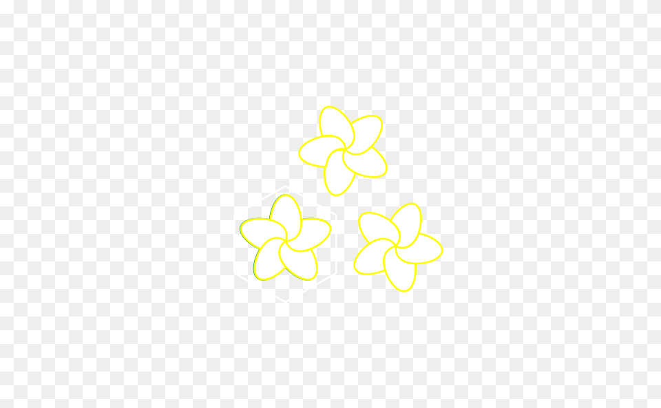 Plumeria Clip Art, Pattern, Flower, Plant, Dynamite Png Image