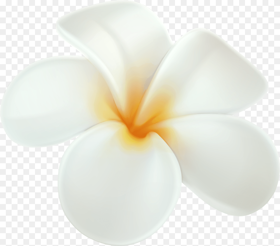 Plumeria Clip Art Plumeria Clipart Free Transparent Png