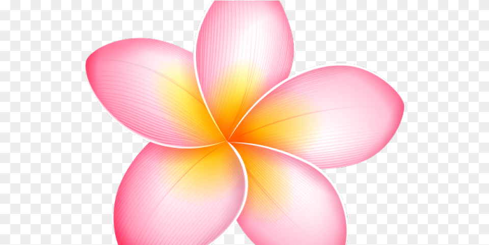 Plumeria Clipart Yellow Pink Tropical Flower, Dahlia, Petal, Plant, Disk Png Image