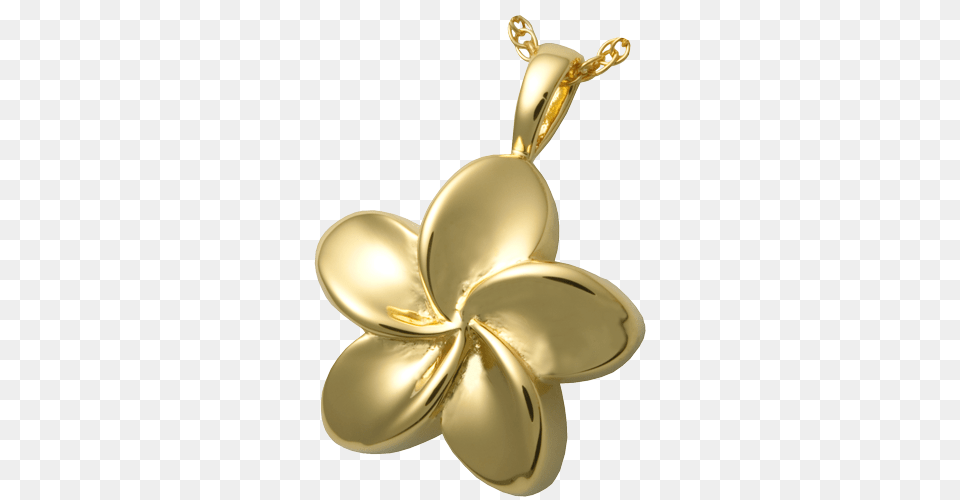 Plumeria Flower Cremation Pendant Cremation Jewellery, Accessories, Jewelry, Locket Free Png Download