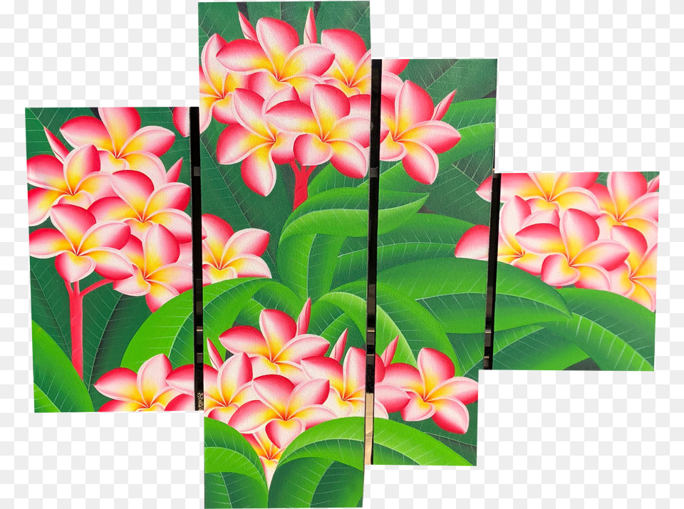 Plumeria Flower Portable Network Graphics, Art, Collage, Plant Free Png