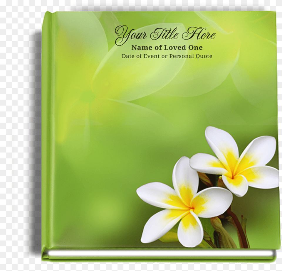 Plumeria Funeral Guest Book, Publication, Flower, Plant Free Transparent Png