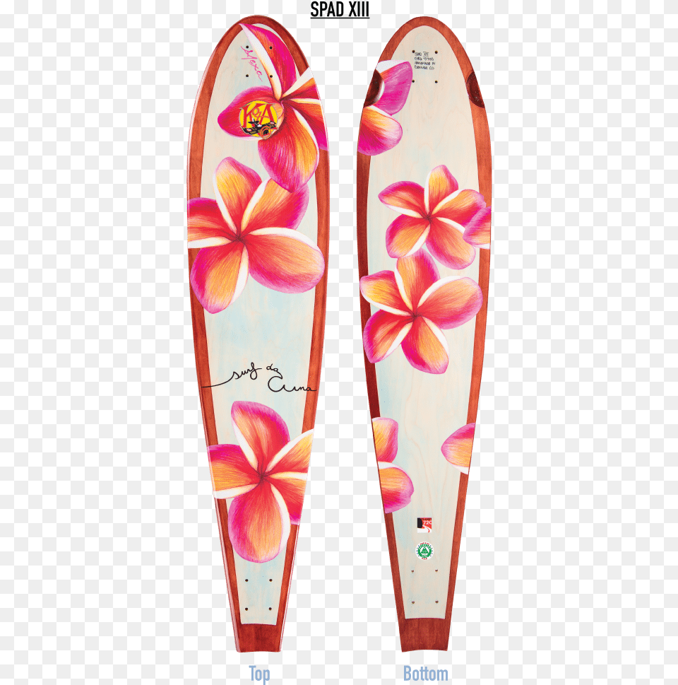 Plumeria Mahogany Longboard Surfboard With Plumeria, Leisure Activities, Nature, Outdoors, Sea Free Transparent Png