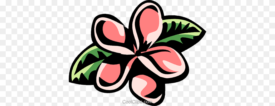 Plumeria Royalty Vector Clip Art Illustration, Flower, Plant, Graphics, Food Png