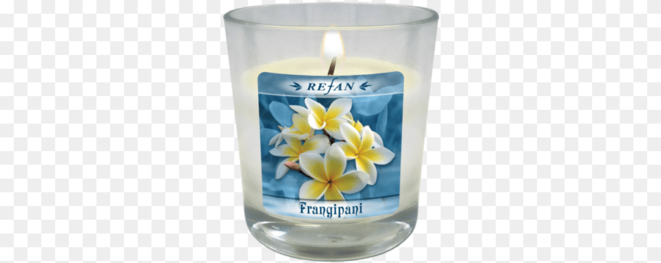 Plumeria Tree, Candle, Flower, Plant Free Png