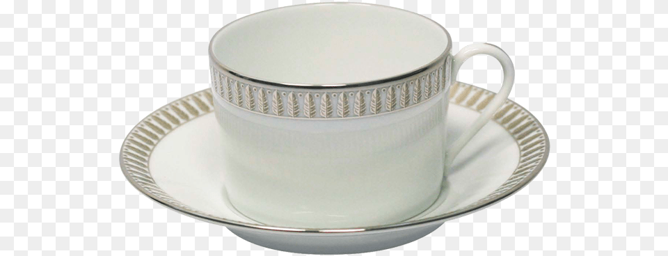 Plumes Tea Cup Amp Saucer Cup Png