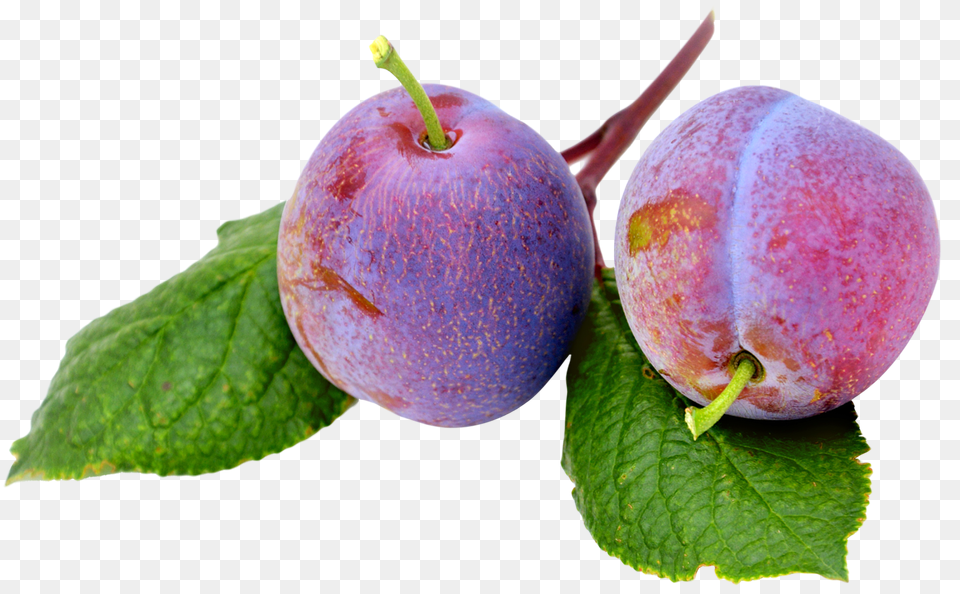 Plums, Food, Fruit, Plant, Produce Free Png Download