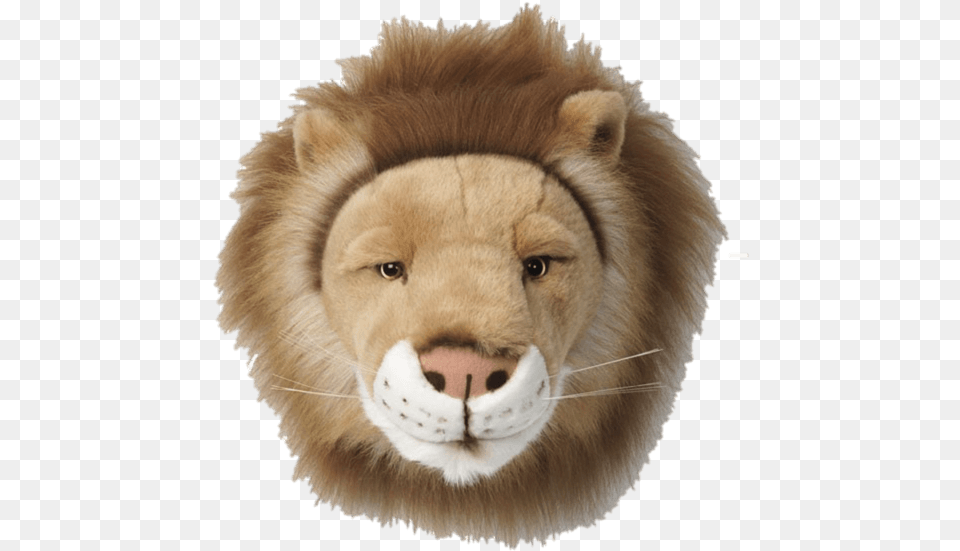 Plush Lion Head Decoration Lion Trophy Head, Animal, Mammal, Wildlife Free Transparent Png