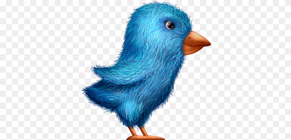 Plush Twitterbird Download Icon, Animal, Bird, Beak Free Png