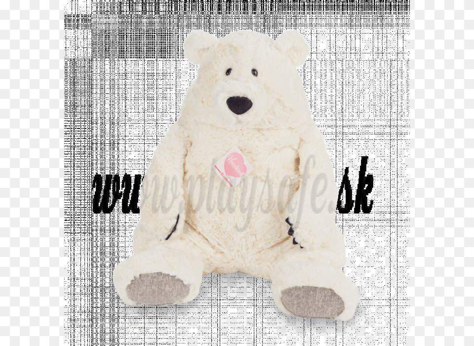 Plyov Bocian, Animal, Bear, Mammal, Wildlife Free Transparent Png