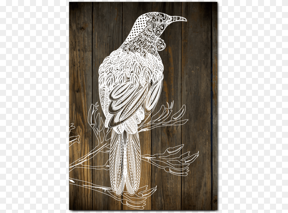 Plywood Art Rectangle Tui Wood, Animal, Beak, Bird Free Png