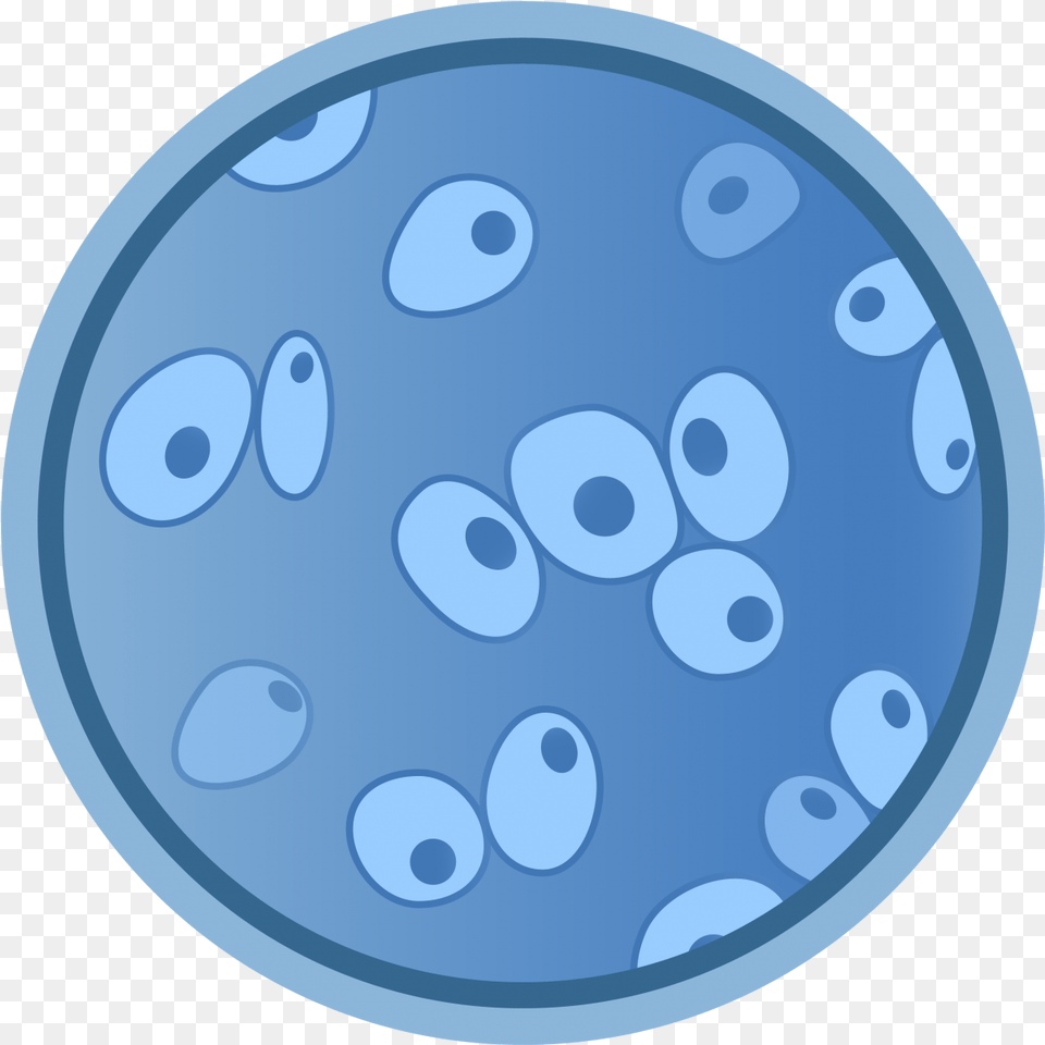 Pneumocystis Pneumonia Animated Audio Icon Gif, Home Decor, Disk, Pattern, Rug Free Png