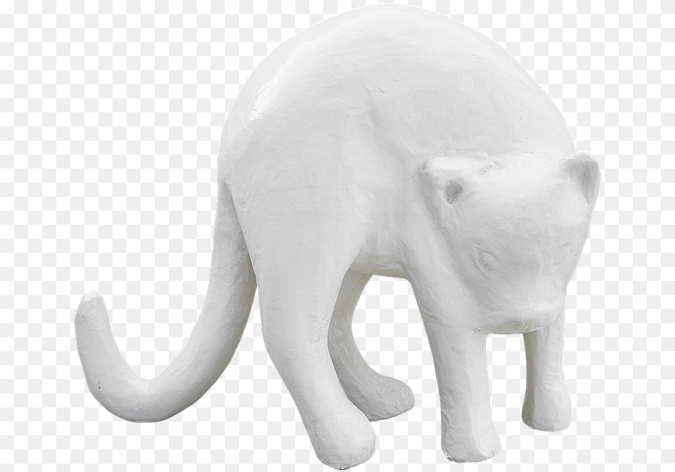 Pngcatplasterwhite Catwhite Color Free From Animal Figure, Elephant, Mammal, Wildlife Png