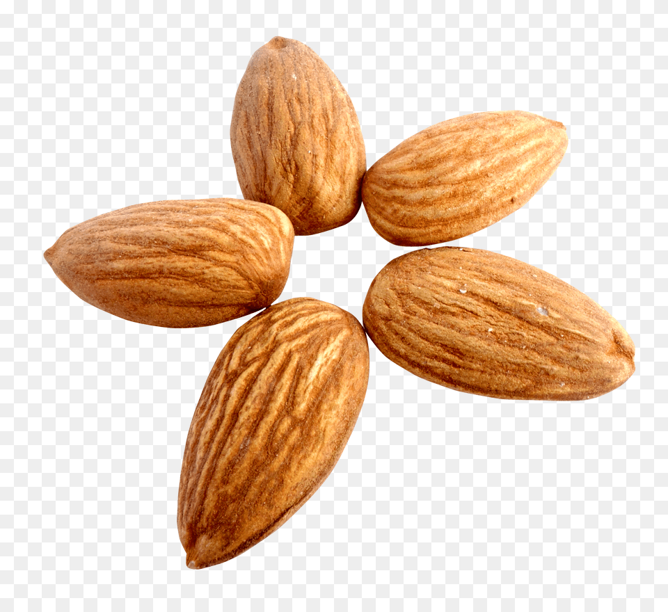 Pngpix Com Almond Image, Food, Grain, Produce, Seed Free Transparent Png
