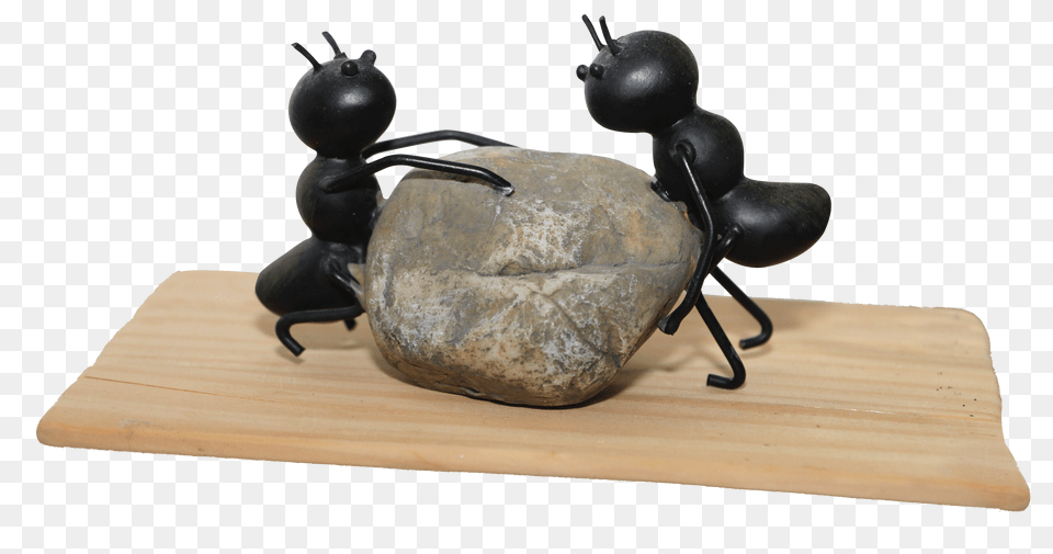 Pngpix Com Ant Teamwork Image, Animal Free Png