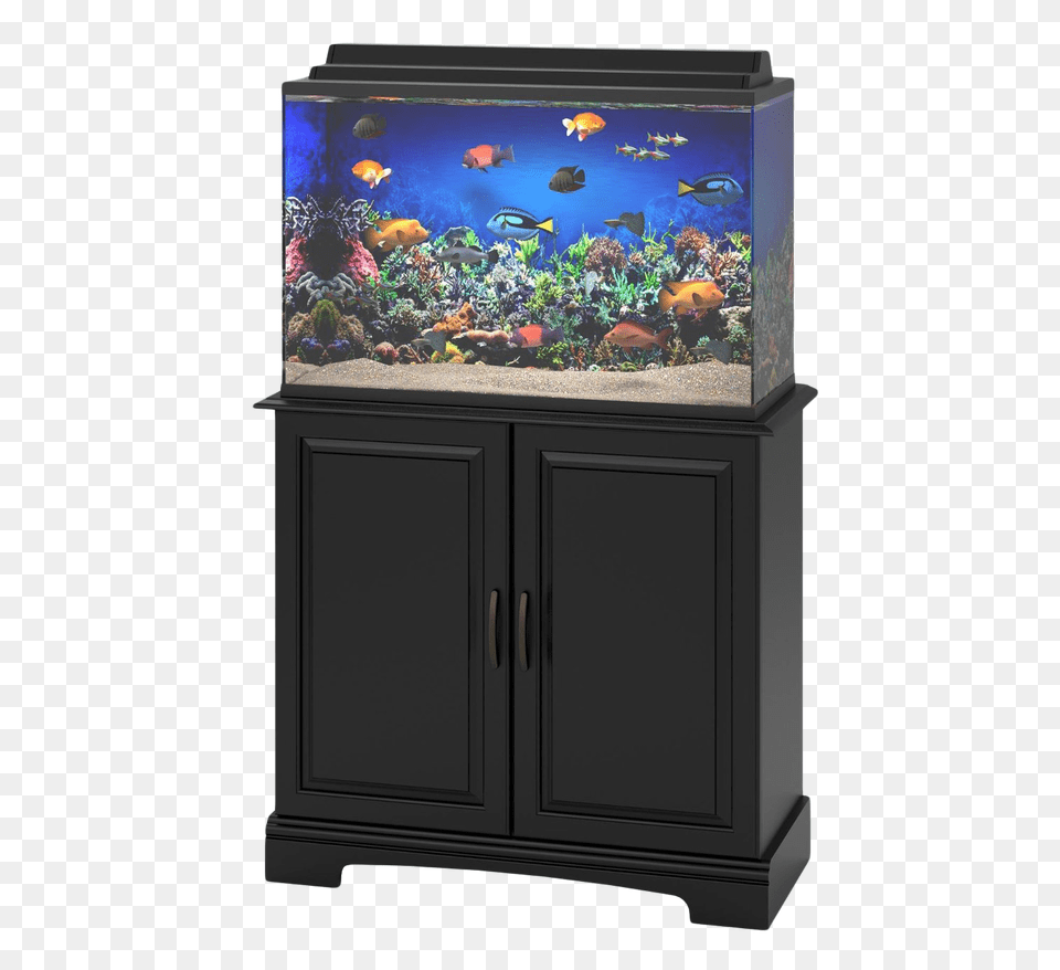 Pngpix Com Aquarium Fish Tank Transparent, Animal, Sea Life, Water Png Image