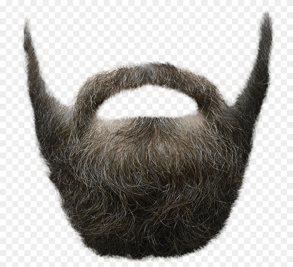 Pngpix Com Beard Image, Face, Head, Person, Adult Free Transparent Png