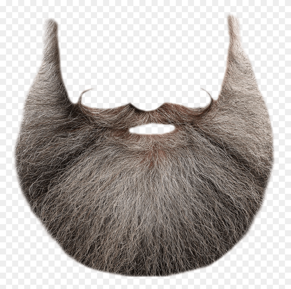 Pngpix Com Beard Transparent Image, Face, Head, Person, Mustache Free Png Download