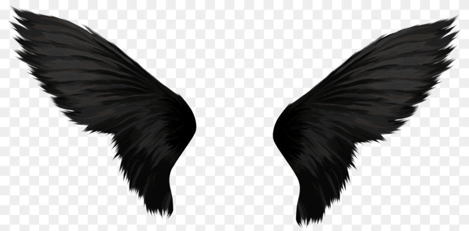 Pngpix Com Black Wings Transparent Image, Animal, Bird, Blackbird, Flying Png