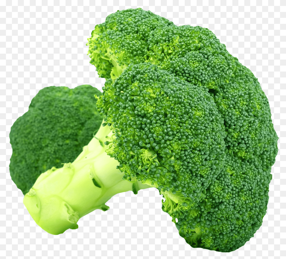 Pngpix Com Broccoli Transparent, Food, Plant, Produce, Vegetable Free Png Download