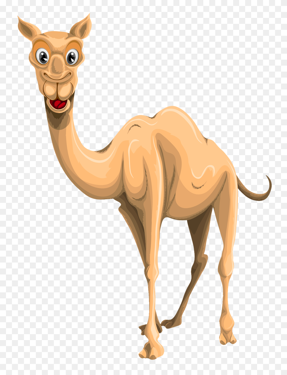 Pngpix Com Camel Vector Image, Animal, Mammal, Kangaroo Free Png