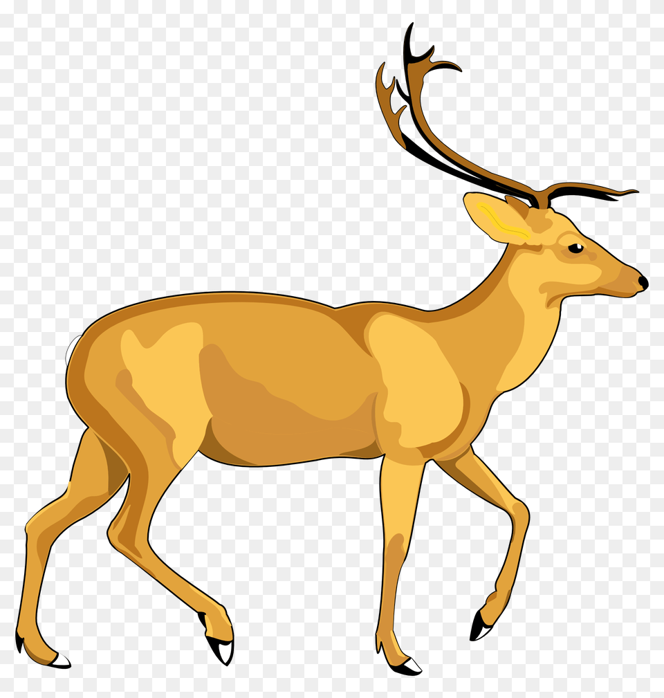 Pngpix Com Deer Vector Transparent Image, Animal, Mammal, Wildlife, Antelope Free Png Download