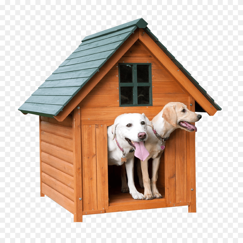 Pngpix Com Dog House, Dog House, Den, Indoors, Kennel Free Transparent Png