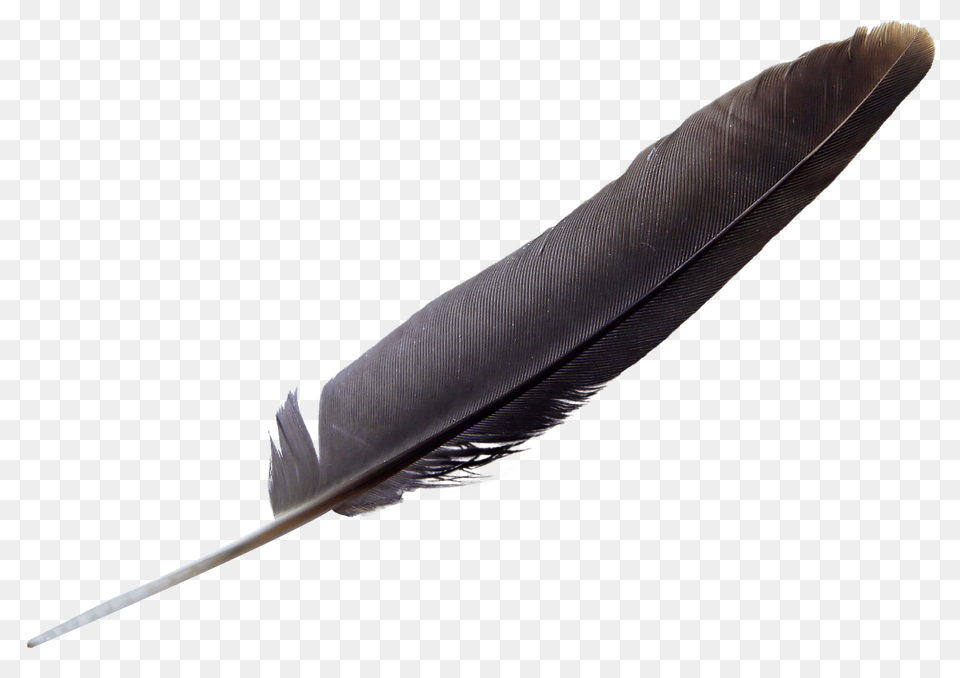 Pngpix Com Feather Transparent Image, Bottle, Blade, Dagger, Knife Png