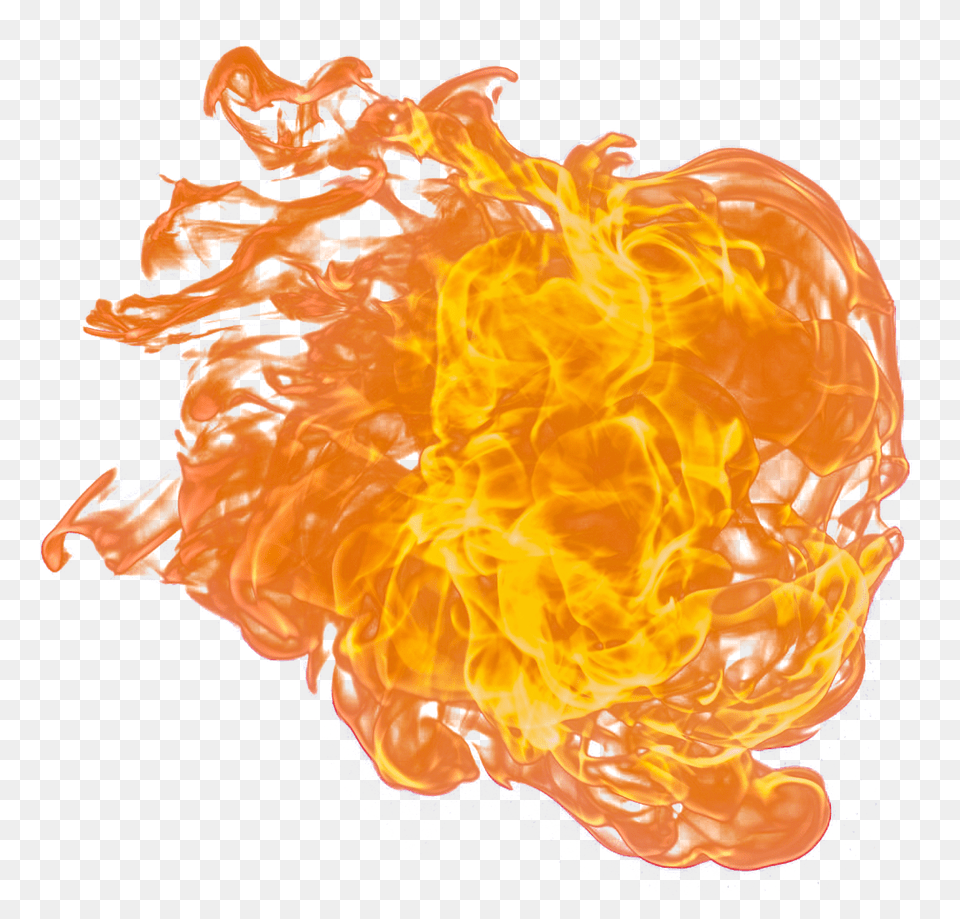 Pngpix Com Fire Flame Transparent, Flower, Plant, Rose Png