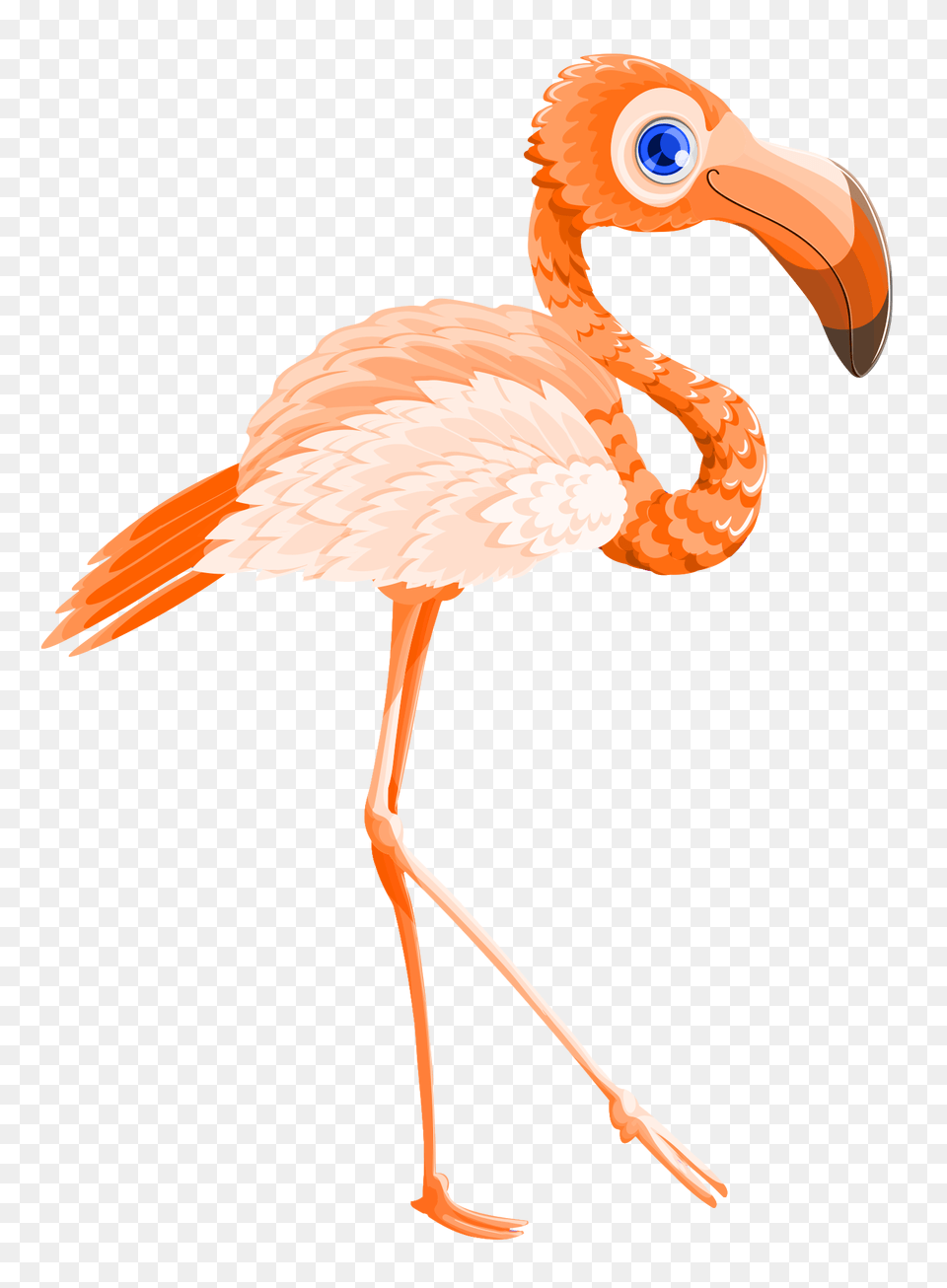 Pngpix Com Flamingo Bird Vector Transparent Animal, Beak, Fish, Sea Life Png Image