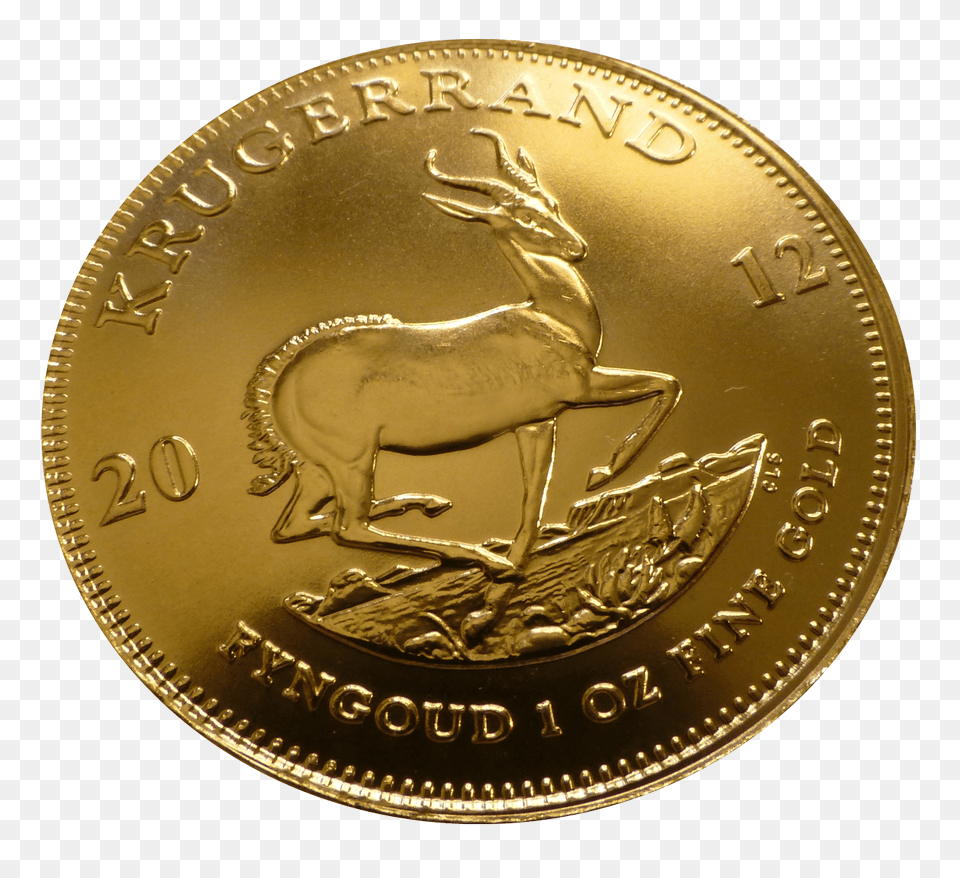Pngpix Com Gold Coin Transparent Image, Money, Animal, Horse, Mammal Free Png Download