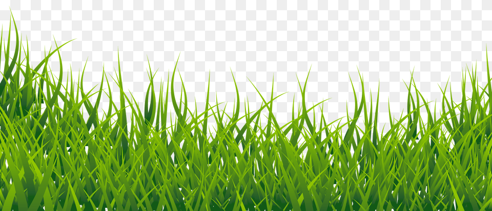 Pngpix Com Grass Green, Lawn, Plant, Vegetation Free Transparent Png