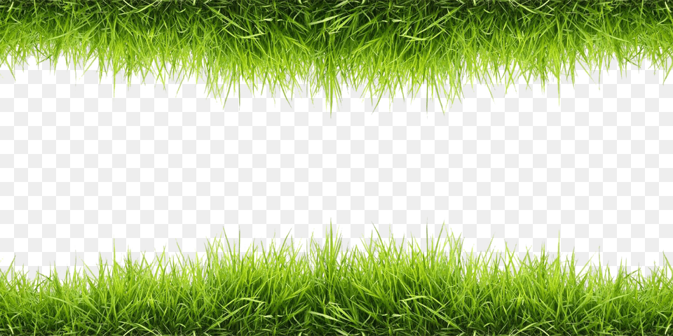 Pngpix Com Grass Transparent, Water, Outdoors, Plant, Lawn Free Png