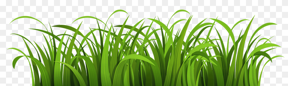 Pngpix Com Grass Vector Green, Plant, Vegetation, Lawn Png Image