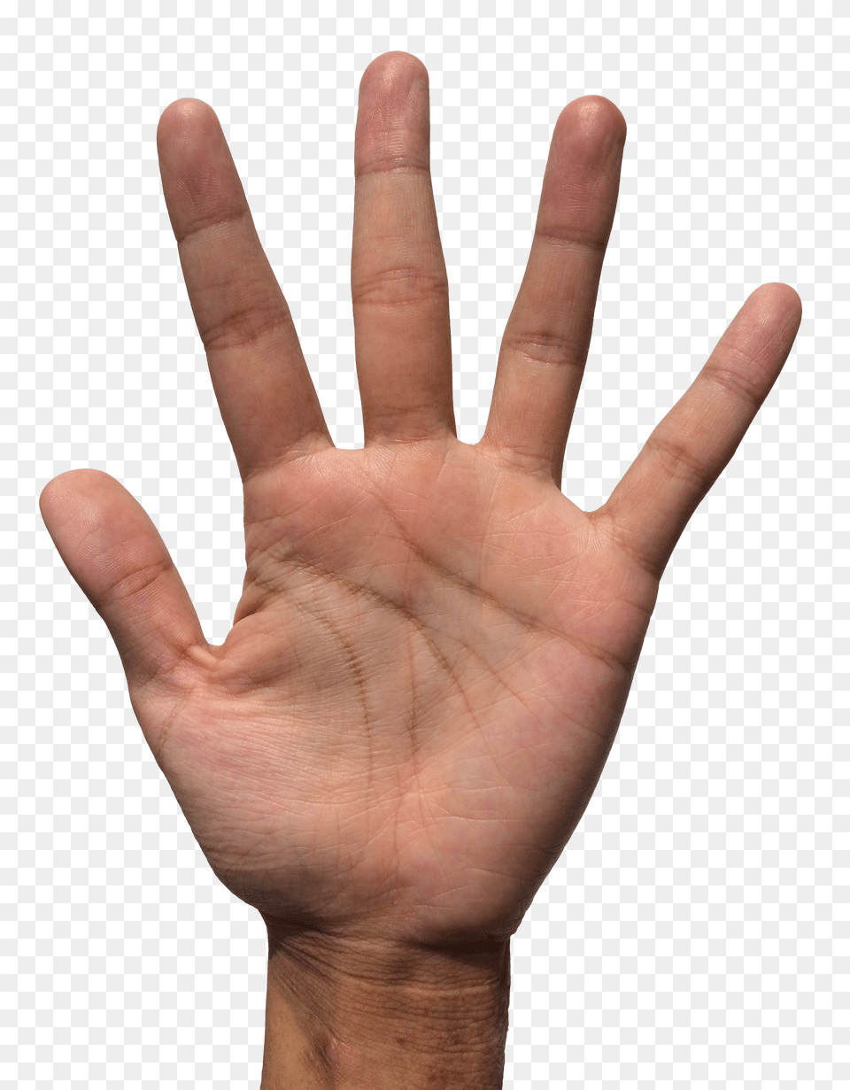 Pngpix Com Hand Image, Body Part, Finger, Person, Wrist Free Transparent Png